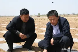 旬邑：玉米间作套种豆角滴管技术助力春耕生产图片