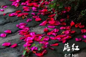 股市早8点丨将出现“阶段性上涨”图片