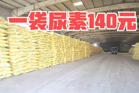 一袋100斤尿素卖140元，贵不贵？7月份尿素是涨是降？图片