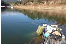 适合新手使用鱼竿盘点，好用性价比高，20斤无压力图片