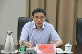 老虎离开重庆八年后，被查图片