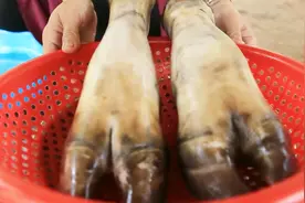 美味的炖牛脚烹饪方法，味道如何？视频封面