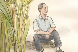 只追对国家有贡献的明星图片