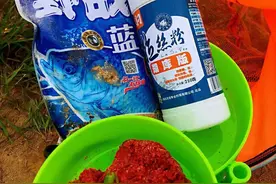 野战蓝鲫的优缺点图片