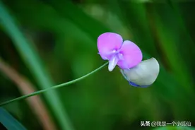 和我一起在安哥拉工作的那些人——和我一起工作的山东会计小赵图片