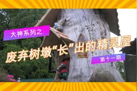 国外大叔童心满满，用一颗大松树打造小树屋，烟筒和窗户设计超赞图片