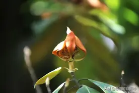 这个90后的小伙，说走，就走了图片