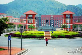 何去何从？独立学院距离“退场”不足3月，约70%高校仍没动静图片
