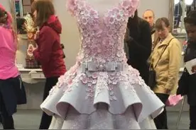 设计师花费10万美元，纯手工做的“婚纱”，重240斤，但是不能穿图片