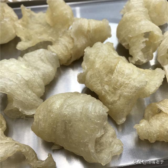 所有的鱼鳔都是花胶吗 2025年所有的鱼鳔都是花胶吗图片