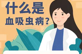 什么是血吸虫病？有哪些症状？图片
