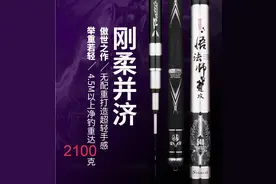 浅谈近期几款6.3米钓竿给我的感觉以及选购建议图片