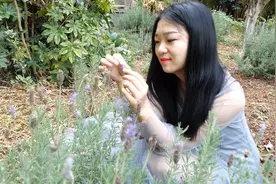亲爱的《想你的夜我睡不着》，好想抱着你入睡，只有情歌陪着我视频封面