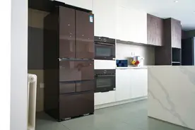 小巧于形，大有鲜机——东芝星级料理冰箱体验图片