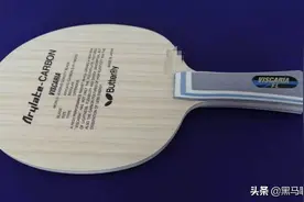 「尝一口鲜」蝴蝶是不是在套娃？超级林昀儒评测图片