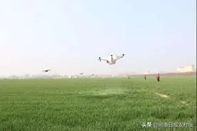 西华无人机成了农民的“瑰宝”图片