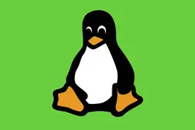 如何在 PC 和 Mac 上安装 Linux?图片