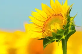 客户灵魂拷问—柜员篇图片