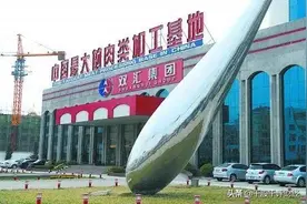 双汇发展企业分析图片