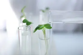 多少水是最好的？每天喝多少水最健康？图片