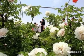 五一自驾游，乡村快乐行图片