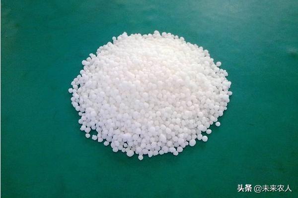 果树全营养“四类肥种”施用方法和调理技术