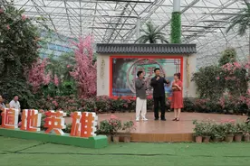 乡村大舞台 | 高手在民间：闫学晶脚下的台球竟被小伙"偷梁换柱"图片