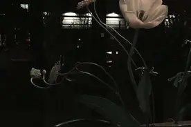 一眼惊鸿的绝美朋友圈文案图片