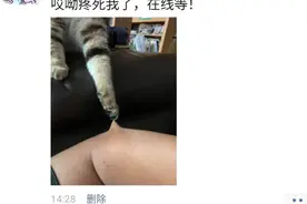 “被猫爪子勾到皮了怎么办才能脱身！”哈哈哈先淡定发条朋友圈图片