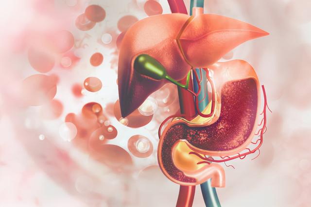 吃太多的蛋白质会对身体有害吗？