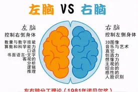 3-6岁是右脑发育黄金期，4个方法助娃养成“超强大脑”图片