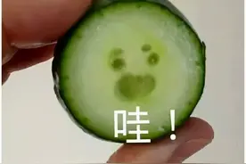 机会！不用复试直接拟录取，高校报名已开始图片