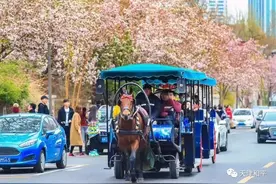 各位游客：马车已备好，你还等什么？图片