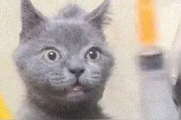 事发福州！16岁男孩上厕所突然晕厥，差点猝死！竟是因这个凶险病！这类人当心感冒图片