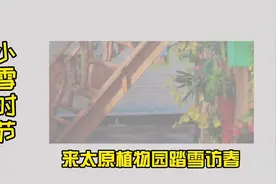 小雪时节，带上家人来太原植物园踏雪访春吧图片