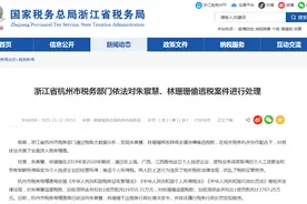 关联20余家企业，网红雪梨及其签约网红偷逃税公司曝光图片