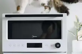 颜值轰炸机—格兰仕复古微波炉来了，实力还相当强劲呢图片