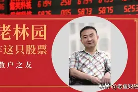 私募大佬林园唯一重仓股：多次加仓至8.6亿图片