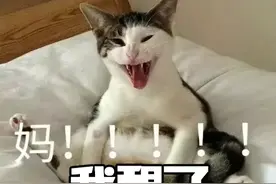孩子，来签个“不要喊妈条约”吧？图片