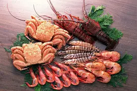 吃货福利：带你探访澳洲虾届“大咖”图片