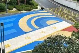 赣州一小区内惊现野猪，跑的飞快！还惊动了公安和消防……图片