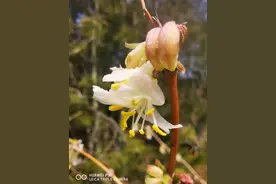 春天来啦！来看看spring的用法吧图片