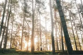 答疑 | 22岁无所事事的儿子，我该如何接受他？图片