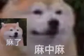 没有房产证的房子，到底能不能买？图片