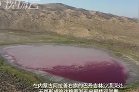 超惊艳！沙漠之中竟有粉红色的湖图片