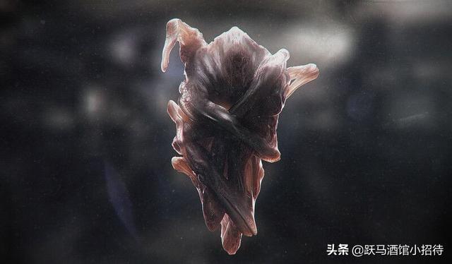 解释一下《异星觉醒》最后的结局