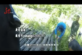 为防野猪破坏自家耕地，想出“妙招”，没成想也招来了警察图片