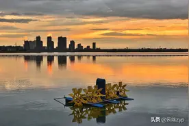铜陵还有个好去处——西湖湿地公园图片