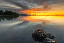 阴谋、阳谋一起用的星座，看似没有存在感，但浑身上下全是实力图片