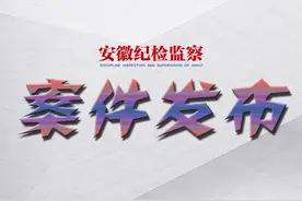 安徽盐业地产集团有限责任公司党委委员、副董事长董淼接受监察调查图片